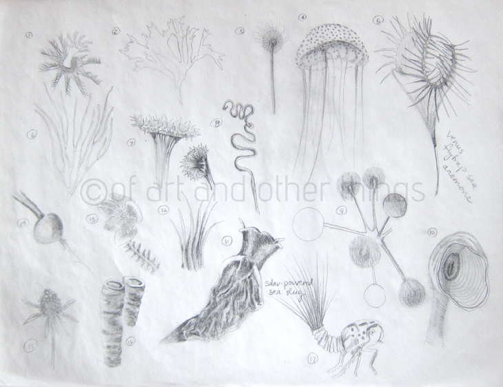 03Mar2014_Flora-Fauna_01