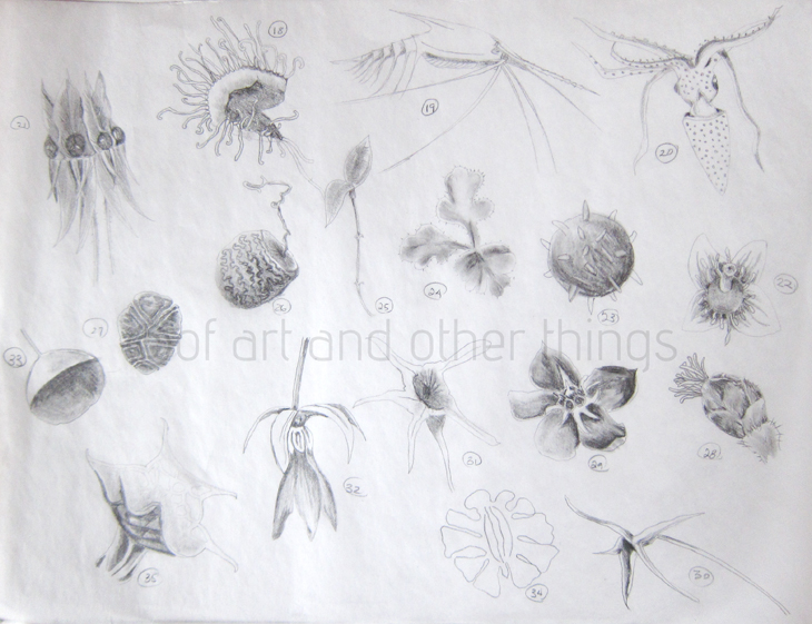 03Mar2014_Flora-Fauna_02