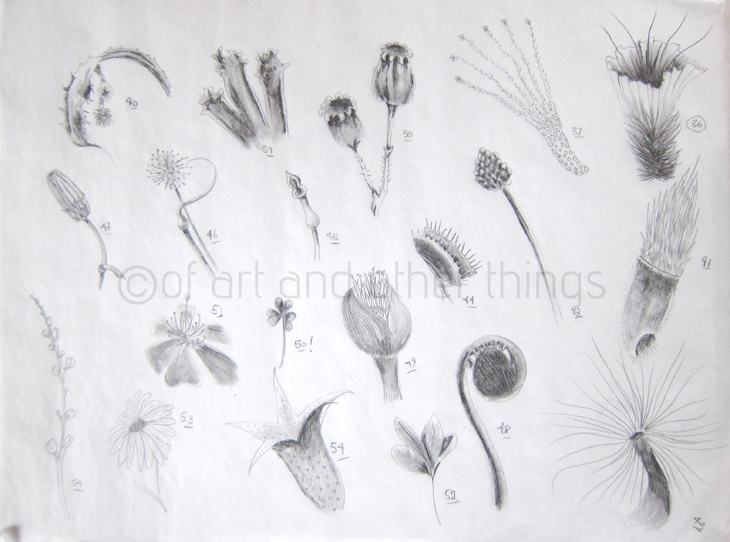 03Mar2014_Flora-Fauna_03