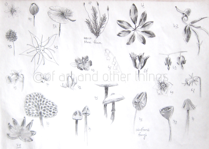 03Mar2014_Flora-Fauna_04