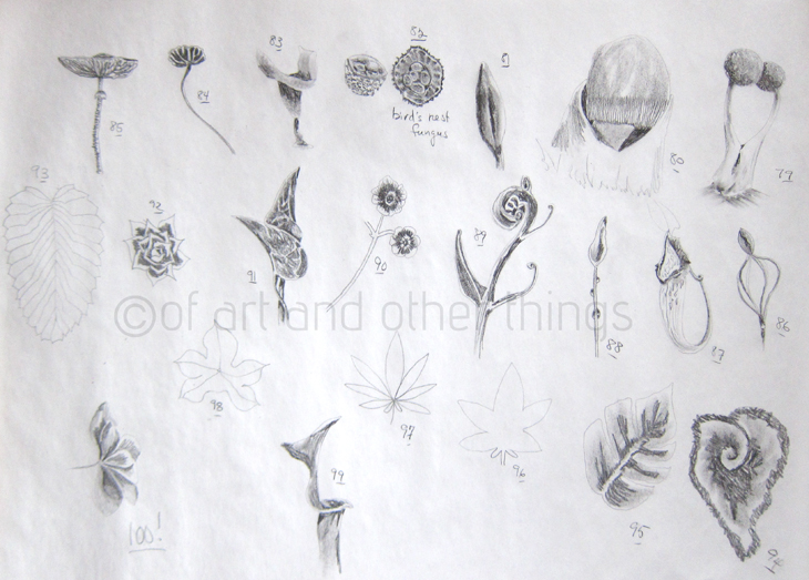 03Mar2014_Flora-Fauna_05