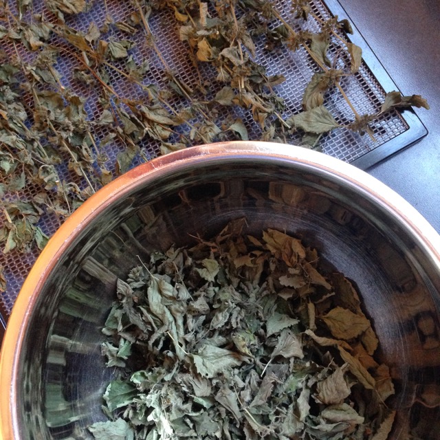 lemon balm