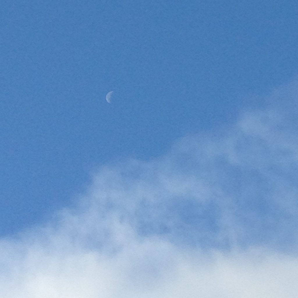moon